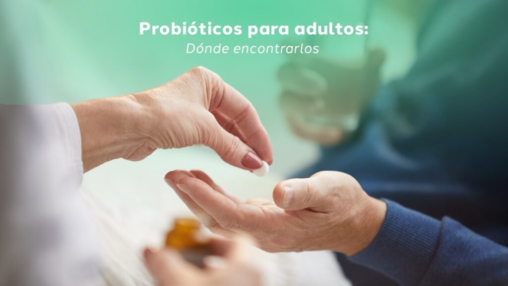 Banner Blog Probióticos para adultos Dónde encontrarlos