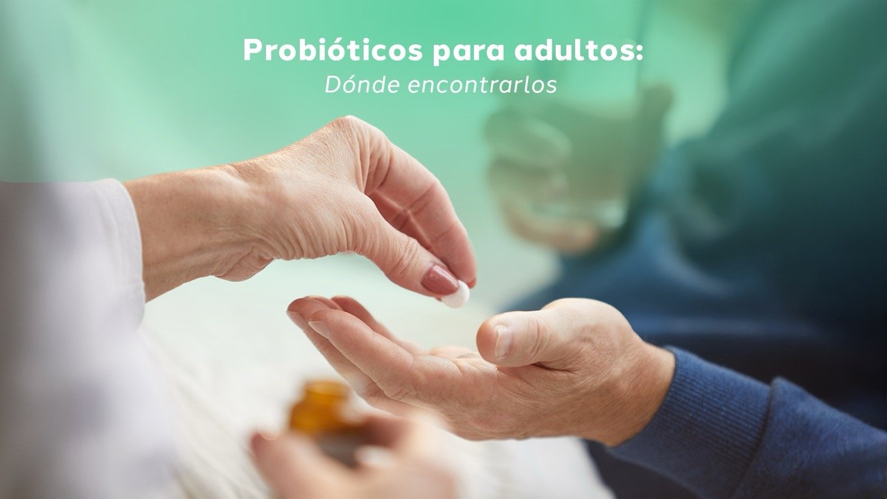 Banner Blog Probióticos para adultos Dónde encontrarlos