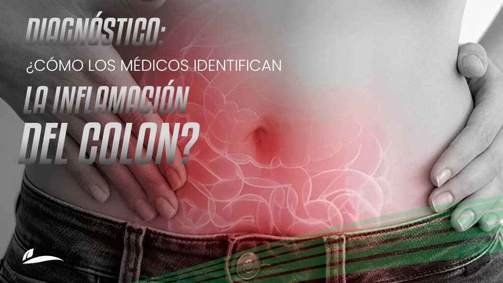 Banner Blog Diagnóstico: cómo los médicos identifican la inflamación del colon