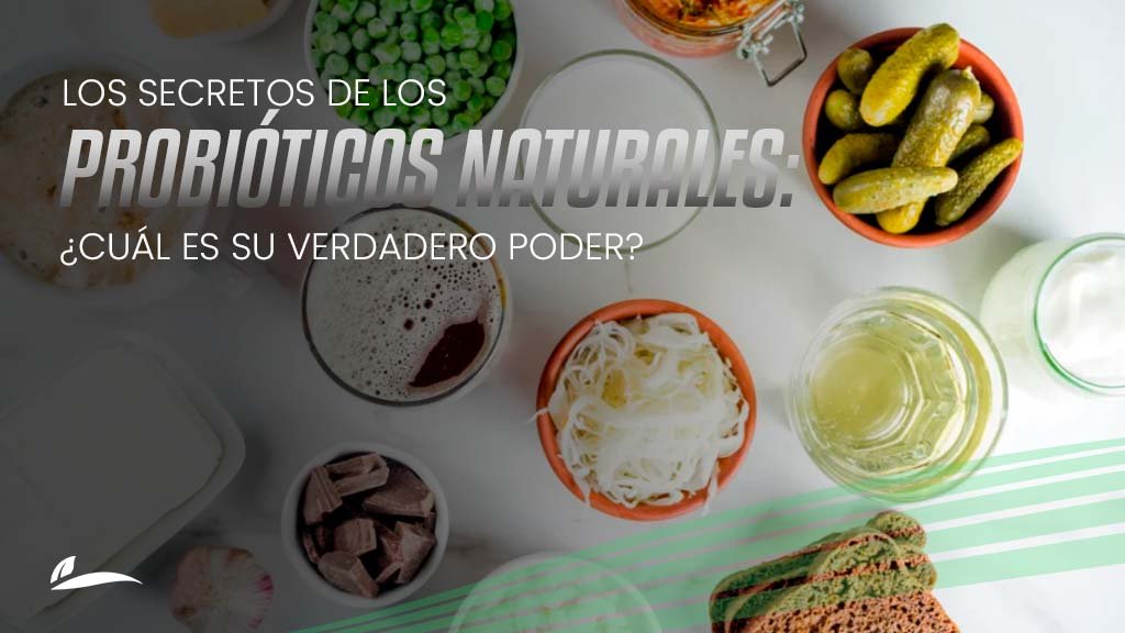 Banner Blog Los secretos de los probióticos naturales: ¿Cuál es su verdadero poder?