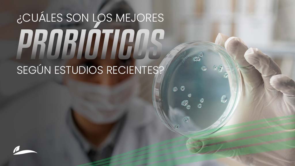 Banner Blog ¿Cuáles son los mejores probióticos según estudios recientes?